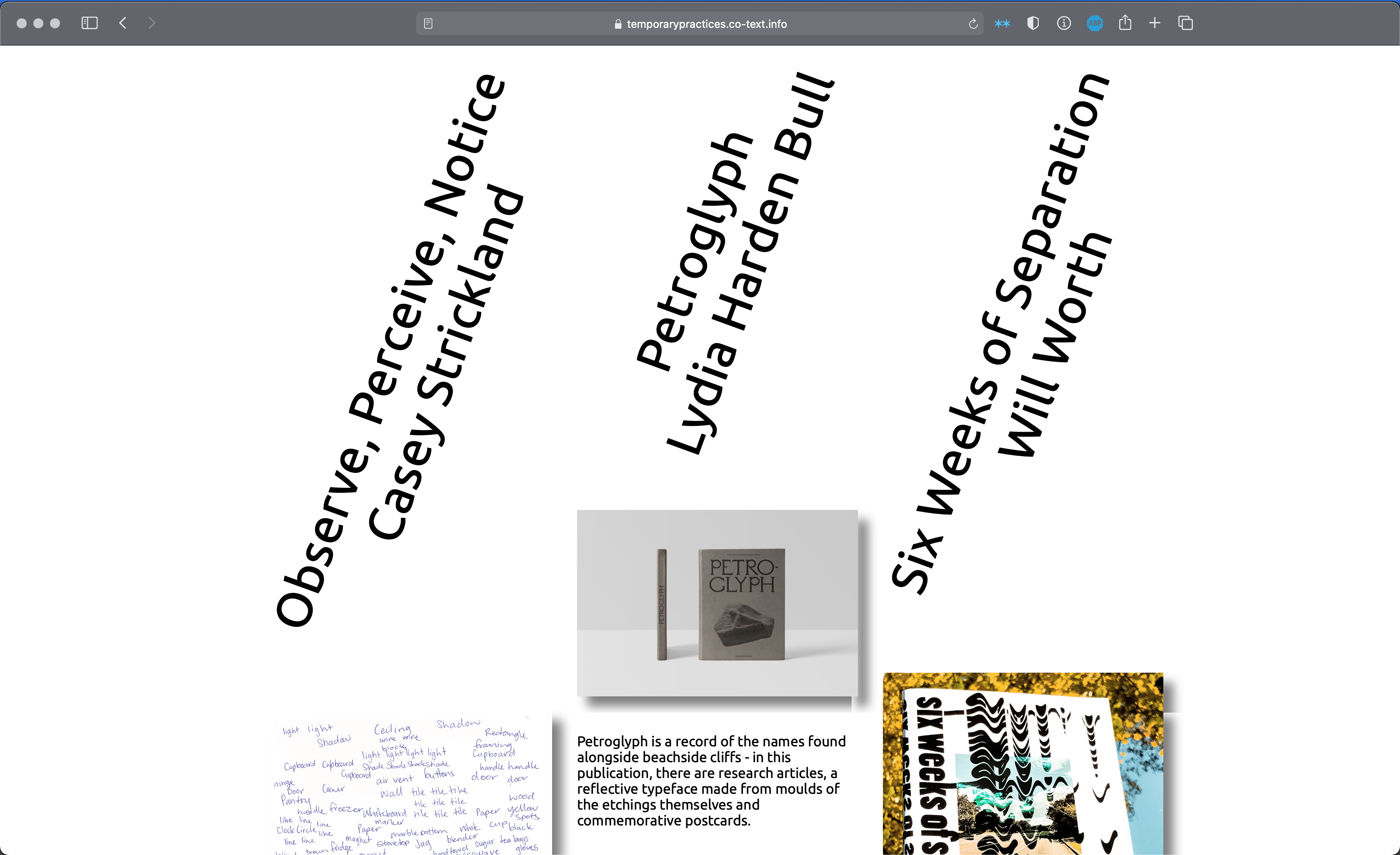 screen shot of website